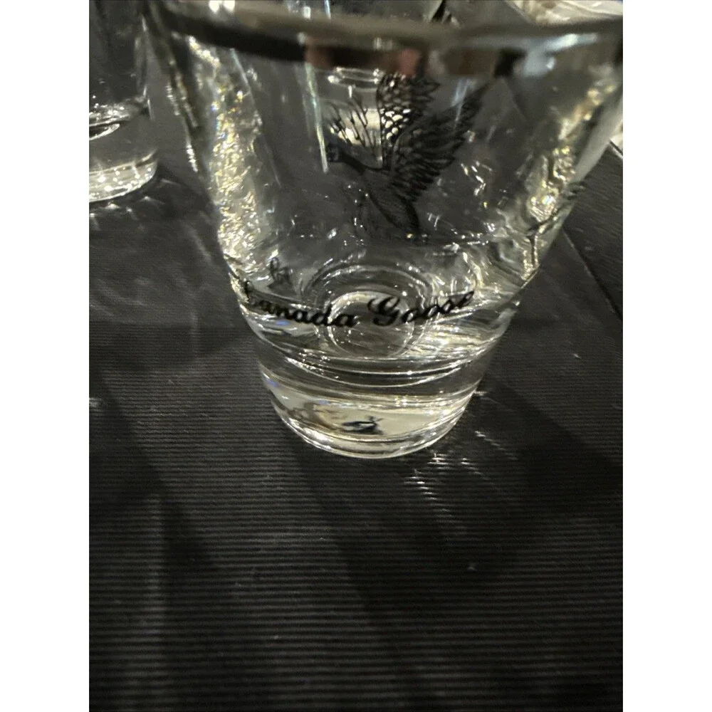 VTG Federal Glass Set 4 Goose, Pheasant, Grouse, Canvasback Clear/Black/Silver